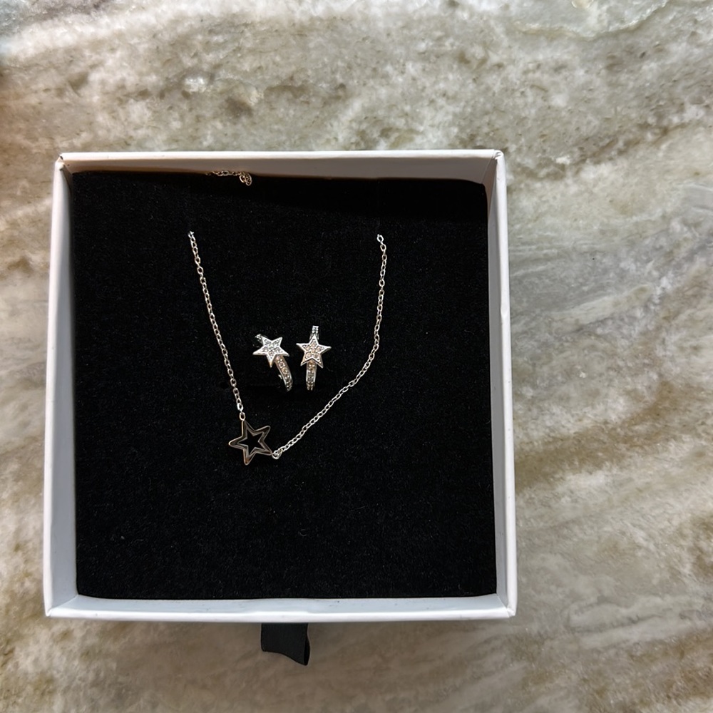 Steel and Shine Miami earrings and necklace set new
